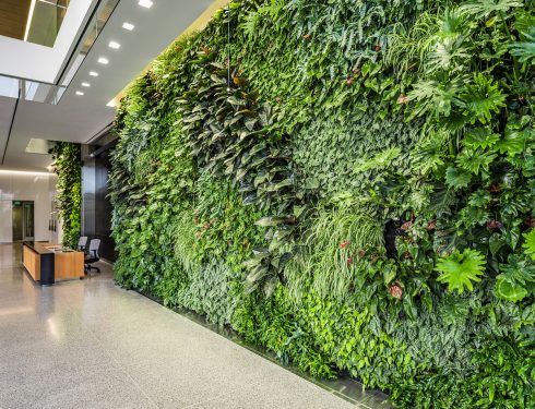 Green wall in Wheaton HQ lobby
